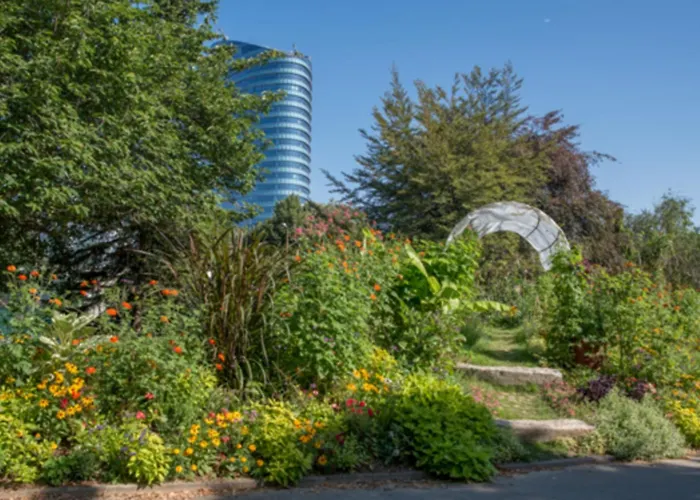 Lovely In The Heart Of Parisian Cafes Париж